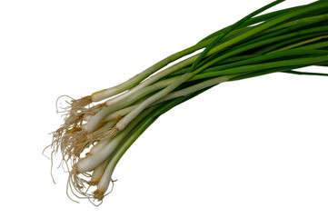 Green Onion Bunch on White Background