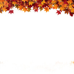 A vibrant collection of autumn leaves on transparent background
