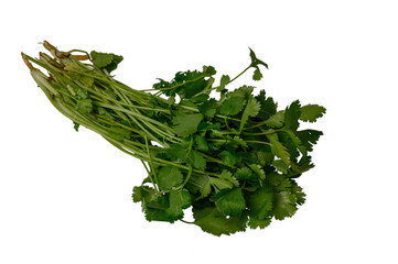 Parsley Bundle Isolated on White Background