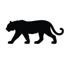 Silhouette of a walking tiger animal