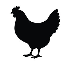 Black silhouette of standing chicken side view