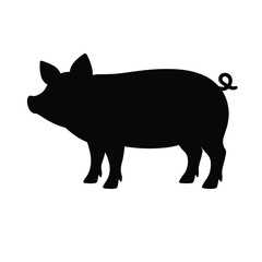 Silhouette of Standing Pig Animal