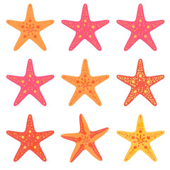 A colorful illustration of starfish on a transparent background