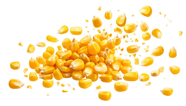 A close-up, isolated pile of bright yellow corn kernels against a stark black backdrop