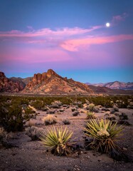 Desert scrub under a colorful sky with a rocky mountain in the background and moon above, capturing sunset hues