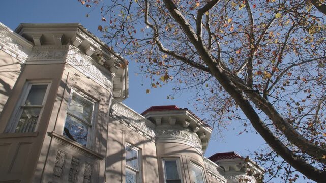 Establishing shot of Brownstone homes in Flatbush, Brooklyn. Shot on an Autumn morning in New York City.