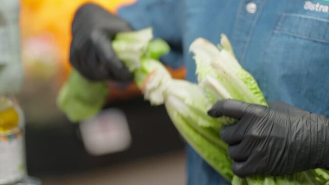 Close-up of hands in black nitrile gloves handling fresh, crisp green lettuce in a kitchen