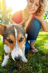 Smile, woman and relax with dog at park for animal adoption, connection and bonding together. Corgi, pet and happy person in nature with companion for foster care, loyalty and rest on grass outdoor