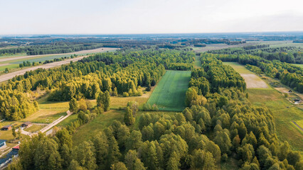 Lush woodland promoting environmental conservation