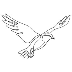 Fototapeta premium Elegant bird in flight