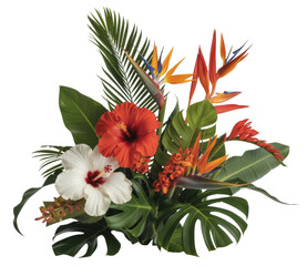 Vibrant Tropical Flower Arrangement Featuring Red and White Hibiscus, Bird of Paradise, and Lush Green Foliage Against a Clean White Background