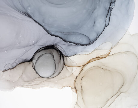 Elegant Premium Abstract Design with Soft Shapes
