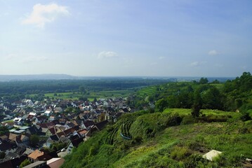Weinberge Reben Trauben