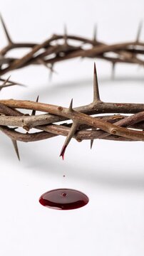 Vertical video of a crown of thorns with blood dripping. A single drop of blood falls into a pool on a white background. Religious concept of the passion of Christ and sacrifice