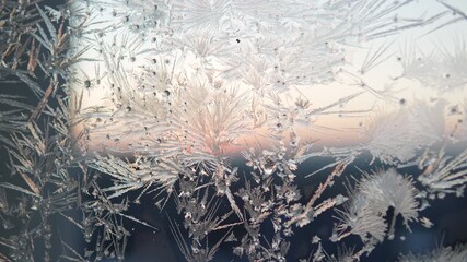Beautiful frost pattern on window, resembling snowflakes, against backdrop of first glow of sunlight on horizon, pan right. Severe overnight frosts during passage of powerful northern anticyclone.