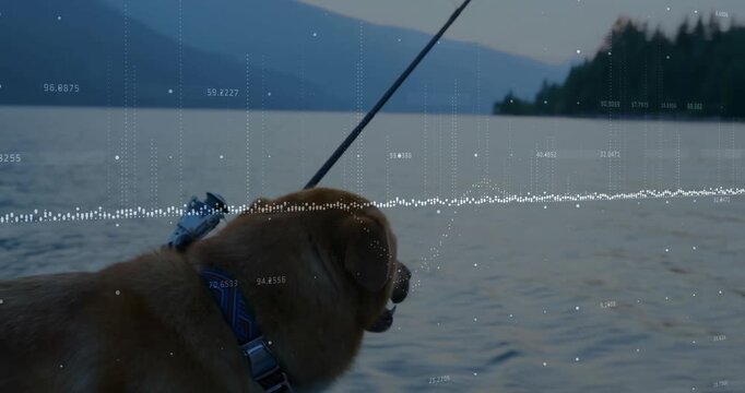 Dog being visualized standing at boat edge, showing fishing rod arching and data overlays floating
