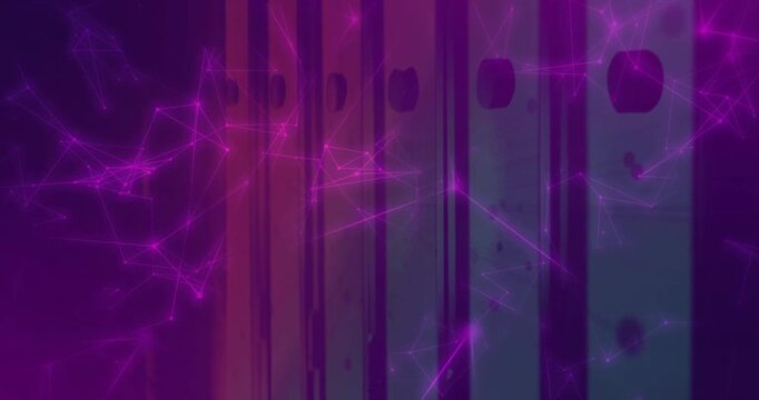 Purple backdrop starting magenta nodes shifting connecting as stripes drifting showing network