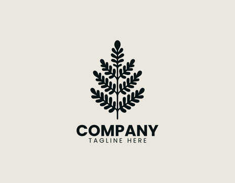 aquatic plant azolla microphylla black vector logo