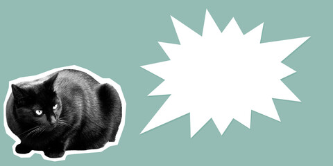 Copy space flyer collage of black cat sitting on retro blue background with bang speech bubble