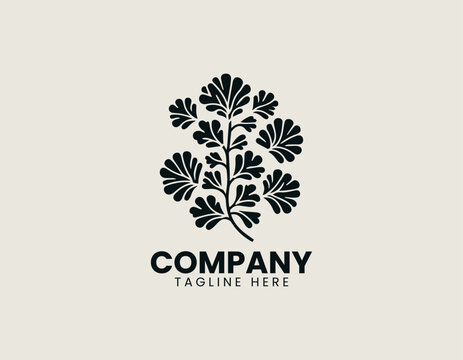 aquatic plant azolla microphylla black vector logo