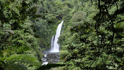 waterfall in the forest © Sigit