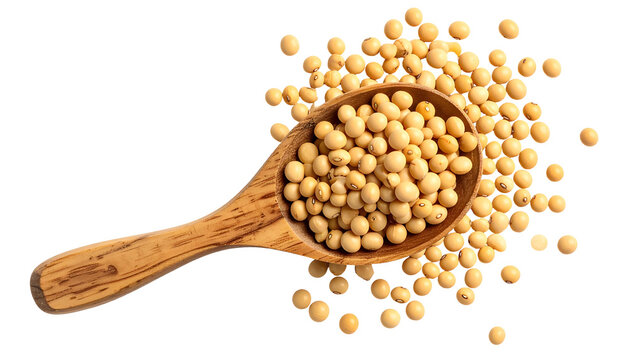 Close-up of soybeans spilling from a wooden spoon onto a pile, all against a black backdrop