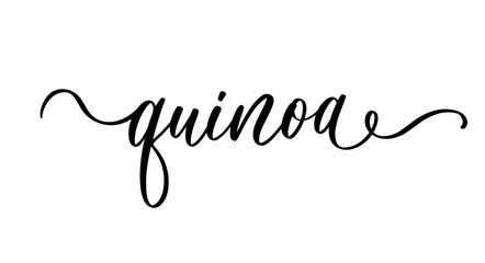 Handwritten Calligraphy Quinoa Organic Superfood Vector Lettering Design