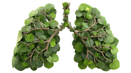 A pair of lungs and trachea are formed by green Butterbur plants against a transparent background. It looks similar to the human respiratory system