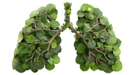 A pair of lungs and trachea are formed by green Butterbur plants against a transparent background. It looks similar to the human respiratory system