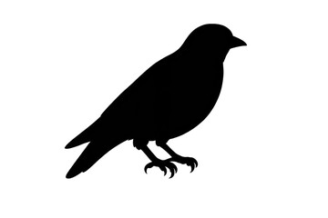 Fototapeta premium Monochromatic image, perfectly black on a transparent background image.