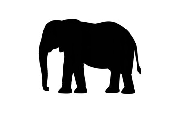 Fototapeta premium Clean image with transparent background, easy to use for design work.