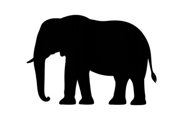 Minimalist Empty Black Frame transparent background for web designs use.