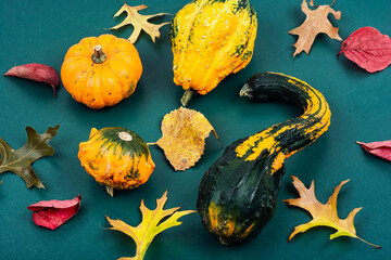 A collection of autumn harvest.