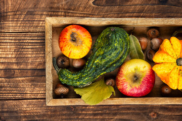 Apples and pumpkins with autumn leaves.