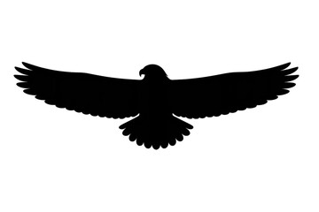 Obraz premium Black empty picture for transparent background product visualization