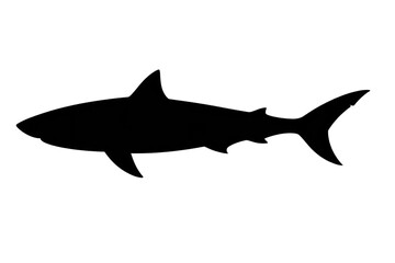 Obraz premium Seamless texture for transparent background. Graphic resource example.