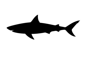 Fototapeta premium Solid Black, Dark and Empty Image with transparent background texture.