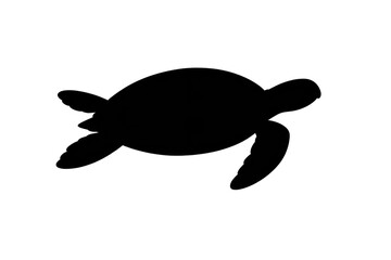 Fototapeta premium Complete blackness image with transparent background digital element