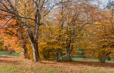 Winter landscape at Rome botanic garden.