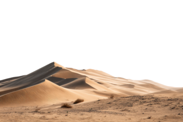 Golden sand dunes with shadows and sparse desert vegetation against black landscape nature
