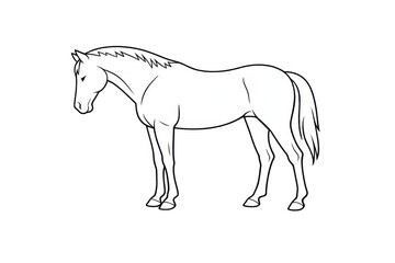 Obraz premium Elegant white horse outline drawing on a transparent background image