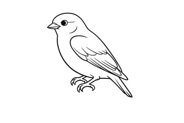 Bird illustration with transparent background design and line art style.