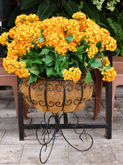 Flowers in pots on the street decorating a cafe