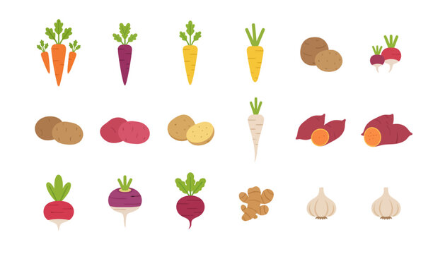 Assorted Vegetables and Root Vegetables Illustration.