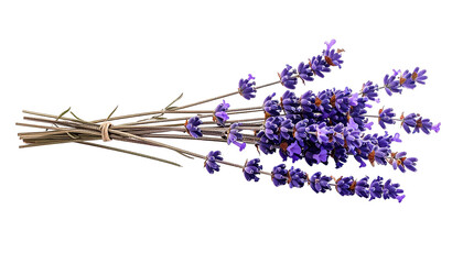 Aromatic Lavender Bundle Isolated on Transparent Background for Herbal Remedies and Aromatherapy Product Mockups and Floral Design Projects