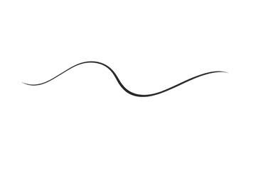 Obraz premium Wavy line or curve on a transparent background design element style.