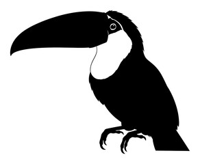Fototapeta premium Toucan Silhouette - Minimalist Vector Illustration