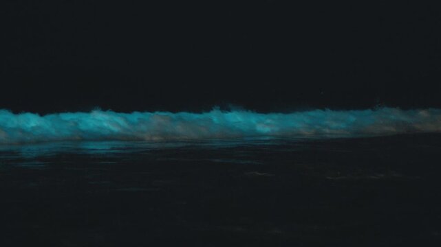 Bioluminescence of the ocean wave. Night view of the sea surface with breaking wave shining strong blue light caused by bioluminescence. High level of noise