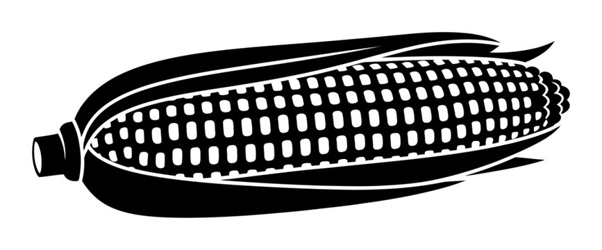 Corn on the cob vegetable silhouette vector icon