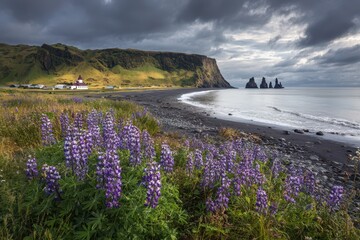 Summer coastal panorama in Iceland featuring basalt columns, dark volcanic sand, lavender lupines, and a quiet church overlooking the sea